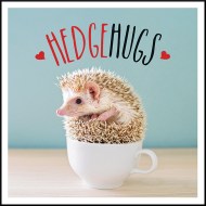 Hedgehugs