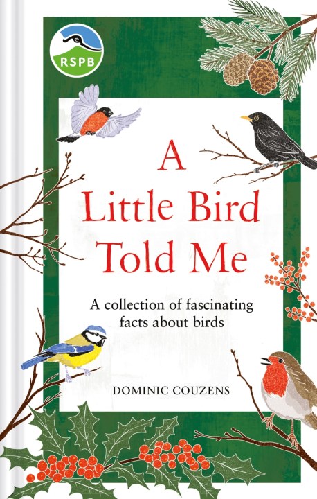 RSPB A Little Bird Told Me