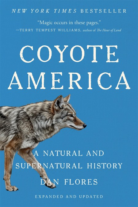 Coyote America