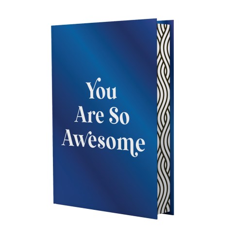 You Are So Awesome