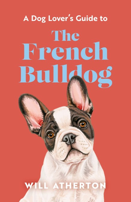 The French Bulldog
