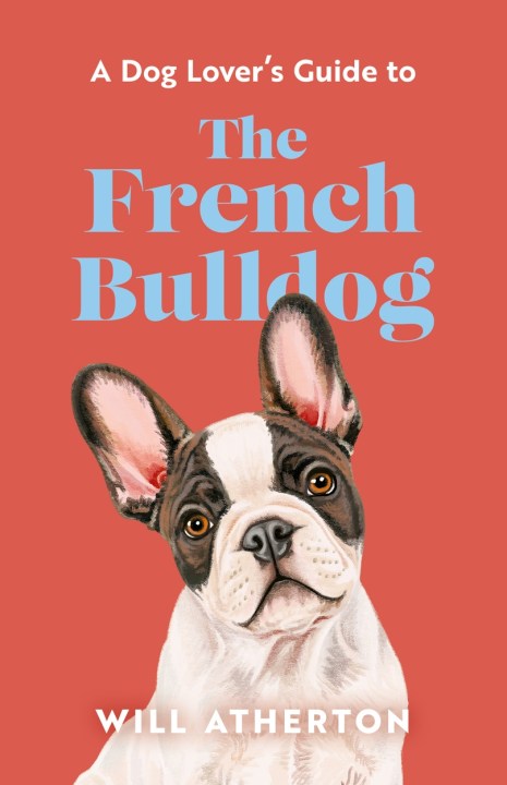 A Dog Lover’s Guide to The French Bulldog
