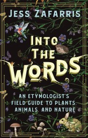 Into the Words