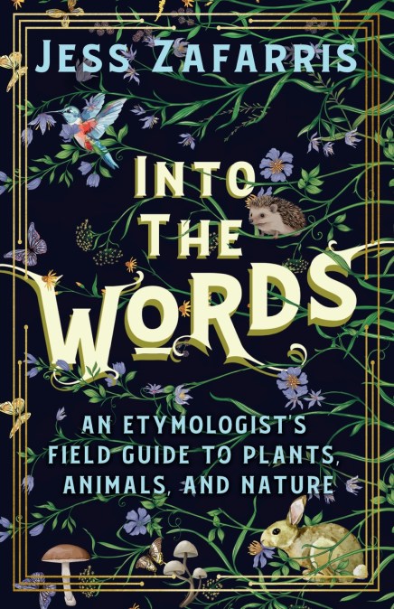 Into the Words